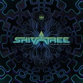 Shivatree - The Rhythm