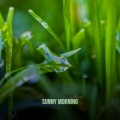 Steve E. Williams - Motivational Impact