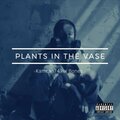 Kamran747 - Plants In The Vase (Explicit)