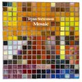 Ryan Stevenson - Mosaic