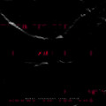Crawl to the Top (Explicit)