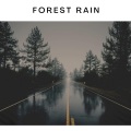 A Light Rain in the Forest - Forest Rain
