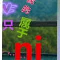 丽丽Lily - 我的心只属于你