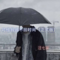 汪七岁 - 可惜我追不回时间