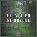 Lluvia en el Bosque