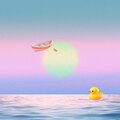 floaties