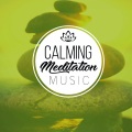 Nature Sounds Piano、Reading and Study Music、Reading Music Company - Karma Vibrations