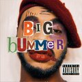 Aaron Bates - Big Bummer (Explicit)