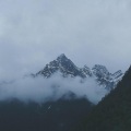 老怪 - 合