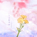 乔芮 - 对你说声拜拜 you don't really know