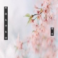 Koi - 昨夜太平长安