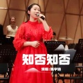 知否知否 (女声版)