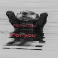 ラッコ - 大奥