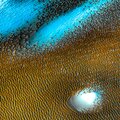 Pragma - Colonies
