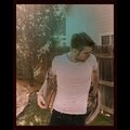Mod Wolves - Tidal