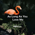 As Long As You Love Me (Remix)