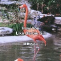 How You Like Barbie Girl (Remix)