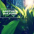 Mother Nature - Rain In The Forest