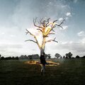 Gracelands、Frame - FIRE (Explicit)