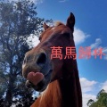轩寒 - 816mnx