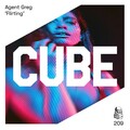 Agent Greg - Flirting (Radio Edit)
