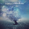 Fertile、Numayma - Everworld