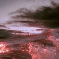 Venus - 言语