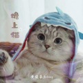 黄俊豪Johnny - 檐上猫