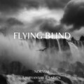 Normal、Sauryanshh、Satyen - Flying Blind