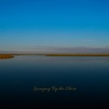Steve E. Williams - The River