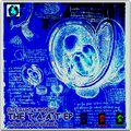 Elis Iluht、Mtutuzeli Madlebe、Xoli Thela、XMB (Xoli Thela) - Deep Novel Soul
