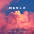 Tom Kala、John Manz - Never (Original Mix)