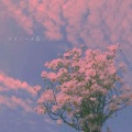以南兮 - 我们说好的
