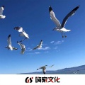 鹤楠、明洋 - 不知所措 (DJ版)