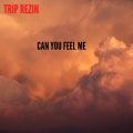 Trip Rezin - They Never Really Listen (Explicit)