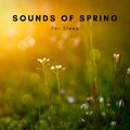 Cricket Sounds、Nature Sounds Collabo、Zen Master - Spring and Chill
