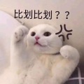ChillXX8 - 卧室Freestyle