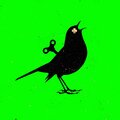 Tisma - Acid Bird
