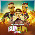 MC Digu、Mc Tavinho、DJ V.D.S Mix - Bumbum Guloso (Explicit)
