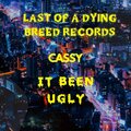 Cassy - It Been Ugly (Explicit)