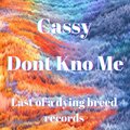 Cassy - Don't Kno Me (Explicit)
