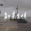 慕九歌、小歌Mlw - 触景生情 )