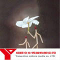 晓蓝兔、阴兵兄弟、林泽、程梓捷 - 瞒我 (DJ版)