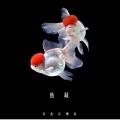 鱼缸（女版）