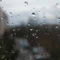 Rainy Day