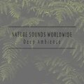Deep Ambience