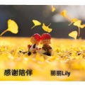 丽丽Lily - 感谢陪伴
