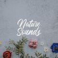 Nature Of Sounds、Organic Nature Sounds、Zen Master - Nature Sounds