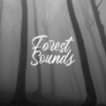 Nature Of Sounds、Organic Nature Sounds、Zen Master - Birds & Streams
