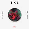 BRX - SKL